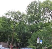 Etagenwohnung Köln Innenstadt - 3 Zimmer, 65 m&sup2;, 391.560&euro; | Angebot:9074417