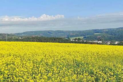 Haus Wuppertal Beyenburg - 5 Zimmer, 160 m&sup2;, 32.000.000&euro; | Angebot:22267698