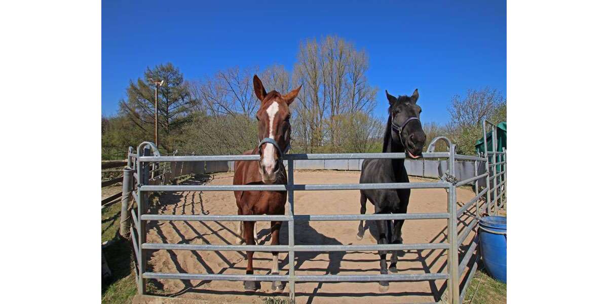 Einfamilienhaus Hückeswagen - 6 Zimmer, 199 m&sup2;, 1.350.000&euro; | Angebot:26253233