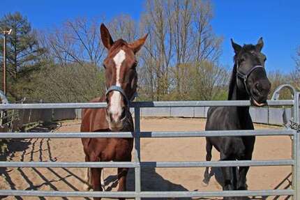 Haus Hückeswagen - 6 Zimmer, 199 m&sup2;, 1.350.000&euro; | Angebot:26253233
