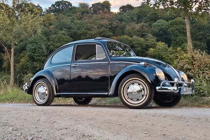 VW Käfer 100.000 km 17.900 &euro; Solingen 42699