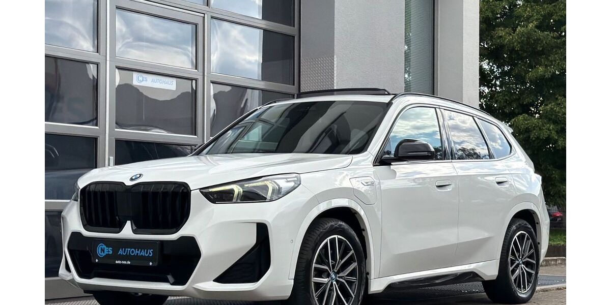 BMW X1 176.633 km 29.888 &euro; Hilden (bei Düsseldorf) 40721