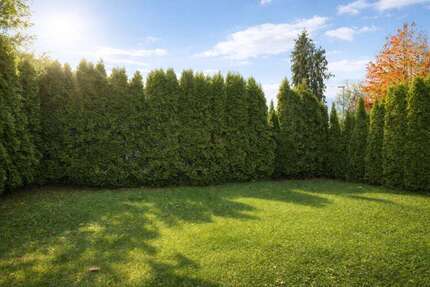 Wohnung Meerbusch / Osterath Osterath - 3 Zimmer, 99 m&sup2;, 459.000&euro; | Angebot:24466261