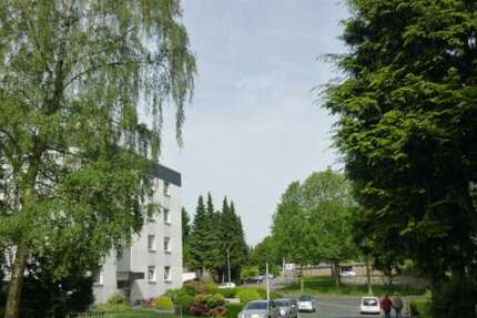 Wohnung Solingen Fürker Irlen - 2 Zimmer, 60 m&sup2;, 342&euro; | Angebot:26827380
