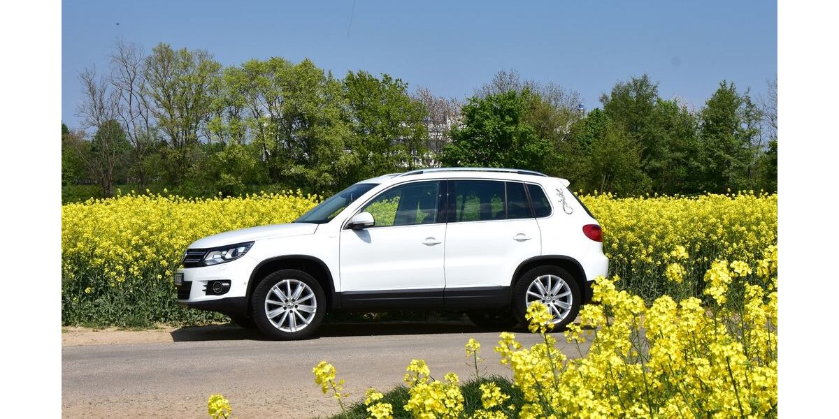 VW Tiguan 117.000 km 12.900 &euro; Wermelskirchen 42929