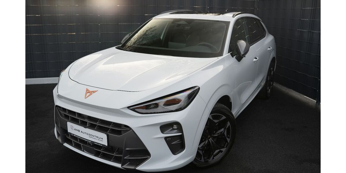 Cupra Terramar 16.144 km 37.899 &euro; Dormagen 41539