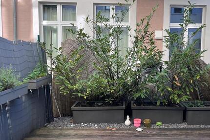 Wohnung Wuppertal Gemarkung Elberfeld - 4 Zimmer, 130 m&sup2;, 1.290&euro; | Angebot:26251811