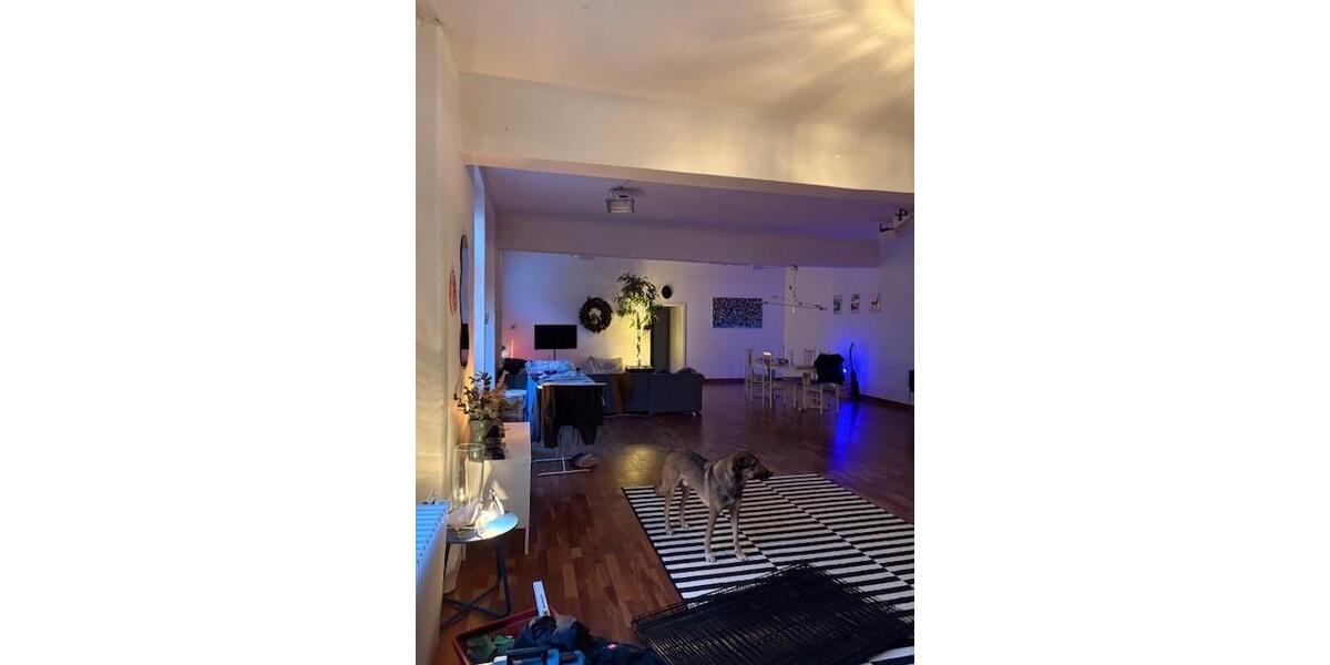 Etagenwohnung Düsseldorf Stadtbezirk 3 - 3 Zimmer, 216 m&sup2;, 1.850&euro; | Angebot:23806366