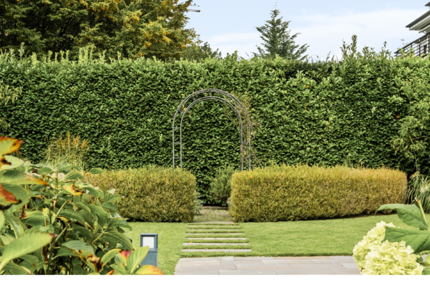 Wohnung Köln Lindenthal - 6 Zimmer, 351 m&sup2;, 2.690.000&euro; | Angebot:26177069