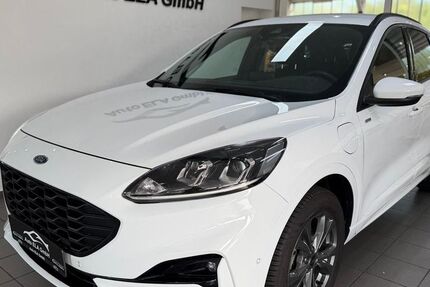 Ford Kuga 29.000 km 24.990 &euro; Heiligenhaus 42579