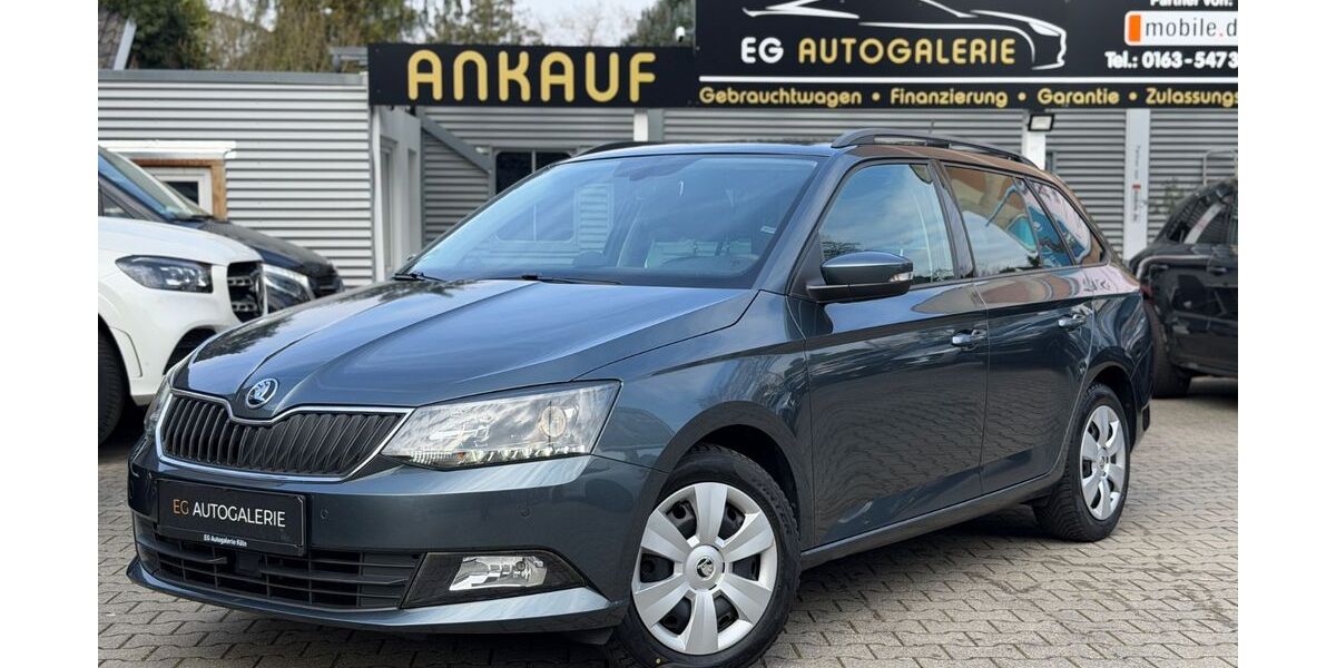 Skoda Fabia 133.700 km 8.850 &euro; Köln 51109