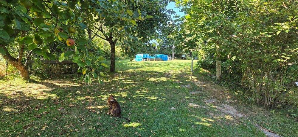 Einfamilienhaus Hückeswagen Kobeshofen - 6 Zimmer, 220 m&sup2;, 569.000&euro; | Angebot:25737808