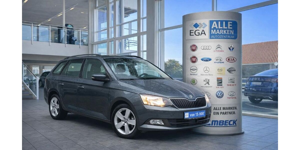 Skoda Fabia 48.900 km 11.933 &euro; Wermelskirchen 42929