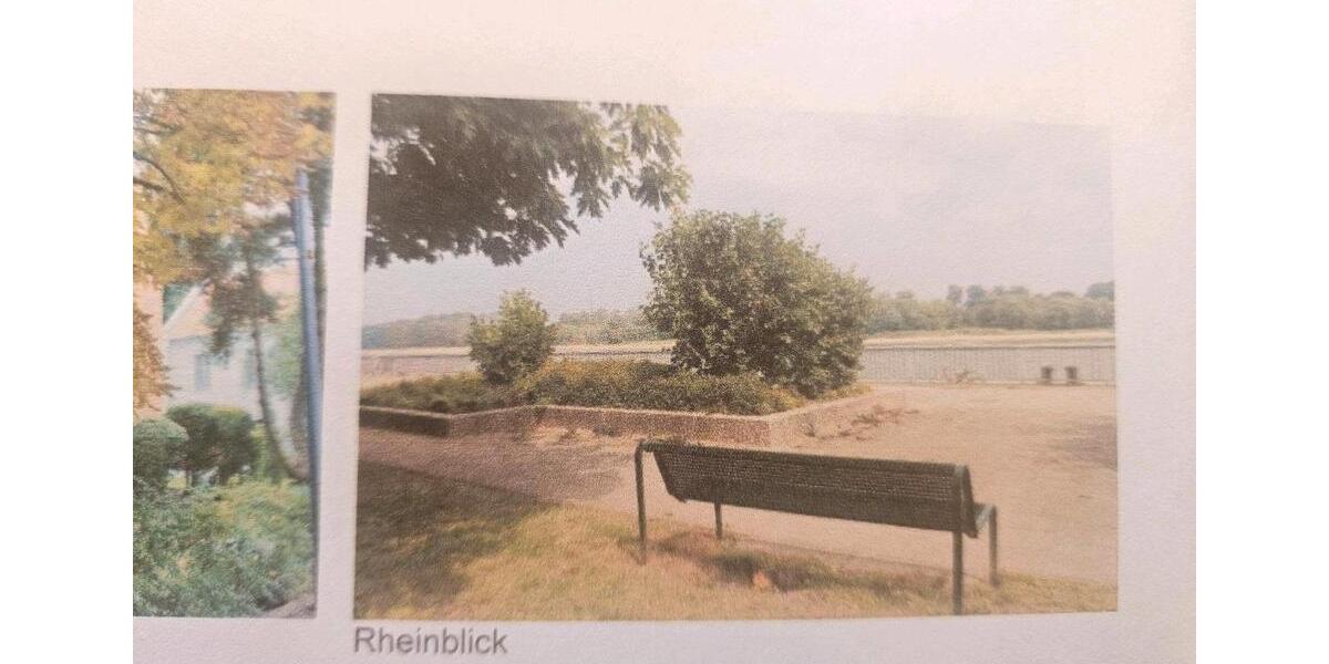 Terrassenwohnung Köln Nippes - 3 Zimmer, 75 m&sup2;, 340.000&euro; | Angebot:26215417