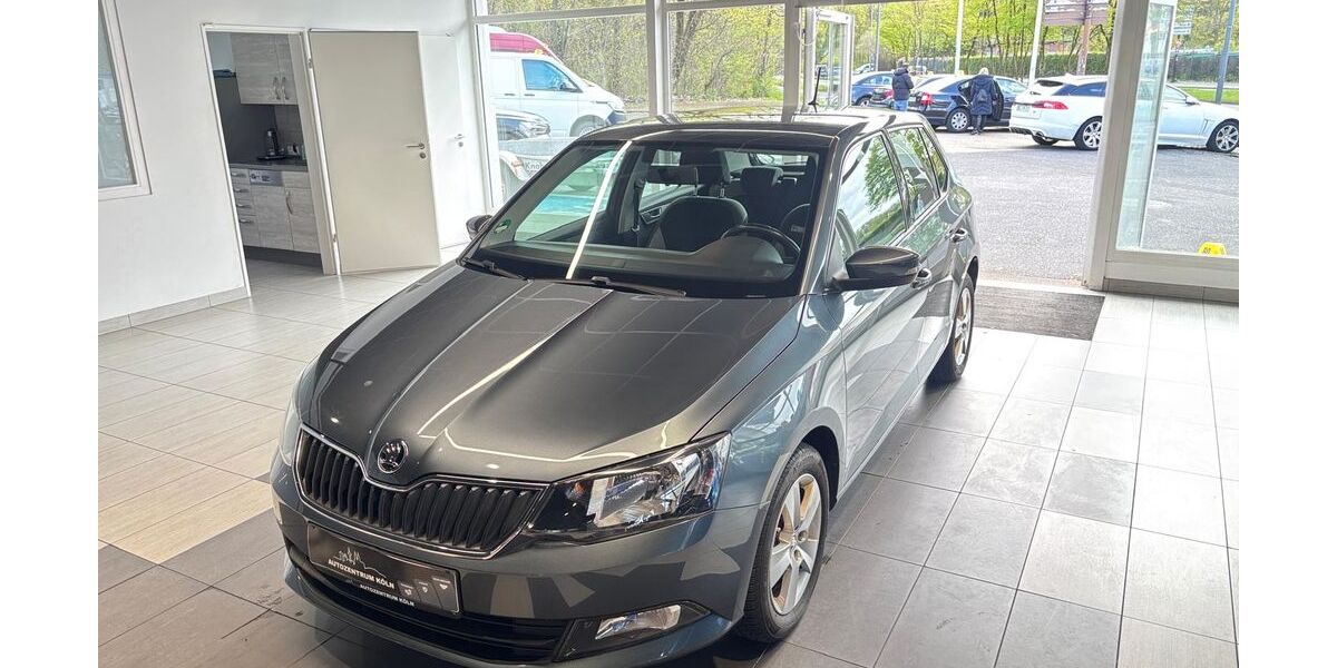 Skoda Fabia 89.900 km 9.900 &euro; Köln 51103