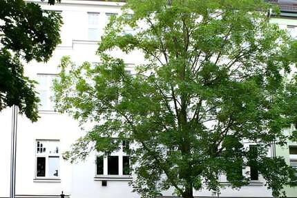 Wohnung Düsseldorf Stadtbezirk 3 - 2 Zimmer, 66 m&sup2;, 800&euro; | Angebot:26836949