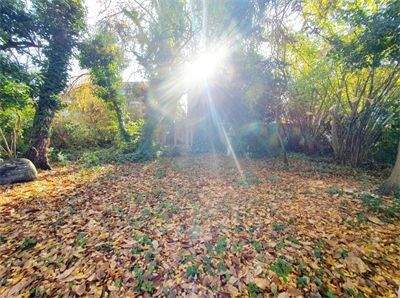 Mehrfamilienhaus, Wohnhaus Köln Weiden - 1 Zimmer, 278 m&sup2;, 1.299.800&euro; | Angebot:25729394