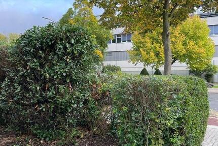 Wohnung Düsseldorf Stadtbezirk 9 - 2 Zimmer, 52 m&sup2;, 650&euro; | Angebot:26285612