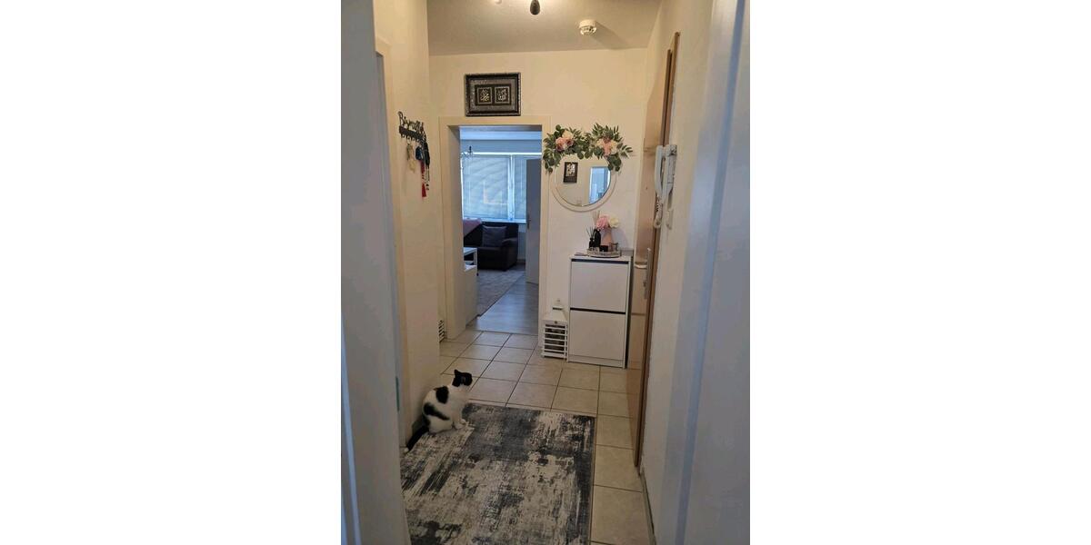 Erdgeschoßwohnung Remscheid Reinshagen - 2 Zimmer, 50 m&sup2;, 358&euro; | Angebot:26039383