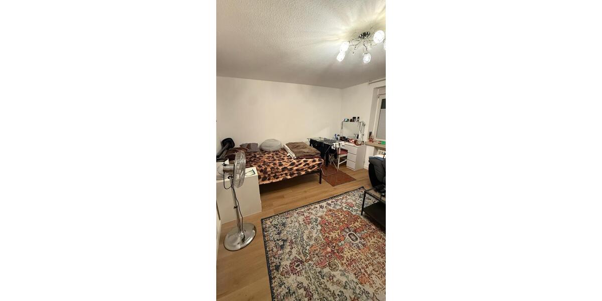 Etagenwohnung Köln Innenstadt - 1 Zimmer, 48 m&sup2;, 950&euro; | Angebot:26023996