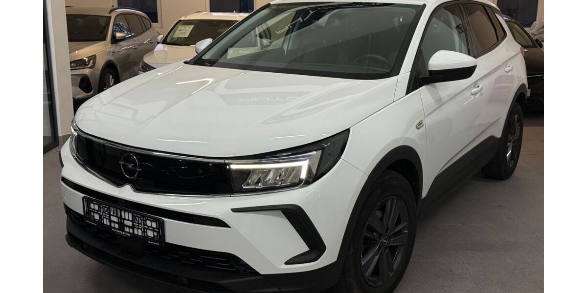 Opel Grandland (X) 100.671 km 16.850 &euro; Remscheid 42859