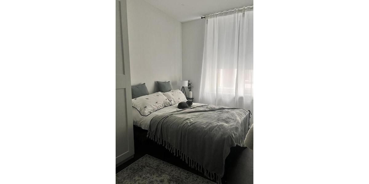 Mehrfamilienhaus, Wohnhaus Wuppertal Barmen - 1 Zimmer, 400 m&sup2;, 650.000&euro; | Angebot:26592924