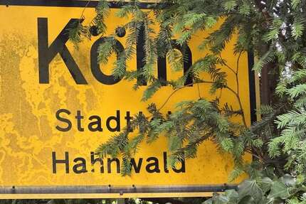 Haus Köln Rodenkirchen - 8 Zimmer, 400 m&sup2;, 4.450.000&euro; | Angebot:25301170