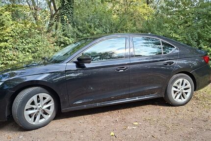 Skoda Octavia 58.000 km 17.400 &euro; Kaarst 41564