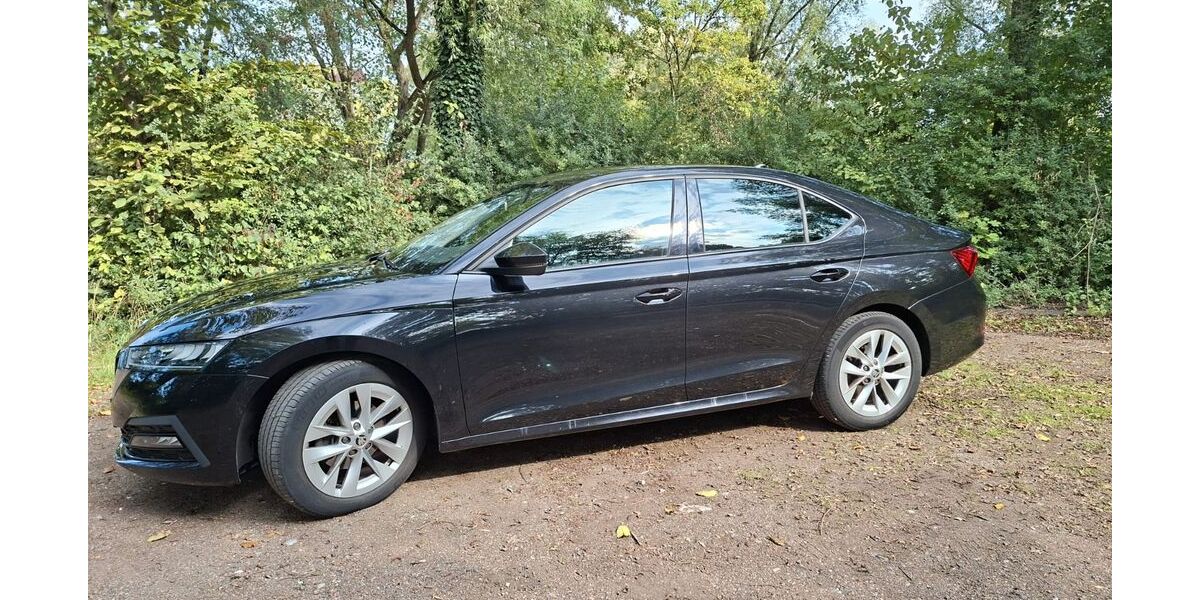 Skoda Octavia 58.000 km 17.400 &euro; Kaarst 41564