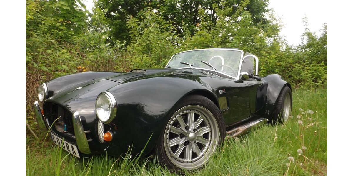 Cobra Andere 32.115 km 100.000 &euro; Mettmann 40822