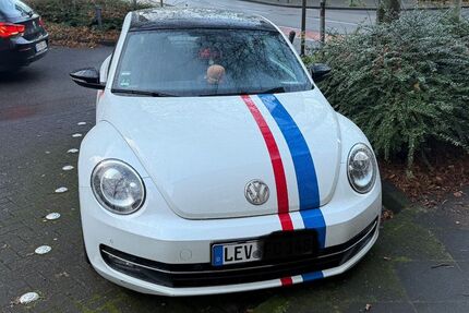 VW Beetle 120.000 km 10.500 &euro; Leverkusen 51379