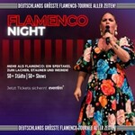 Flamenco Night