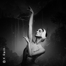 Grand Classic Ballet - Schwanensee - Jenseits der Bühne mit live Streichquartett 02.10.2026 Schauplatz Langenfeld GmbH