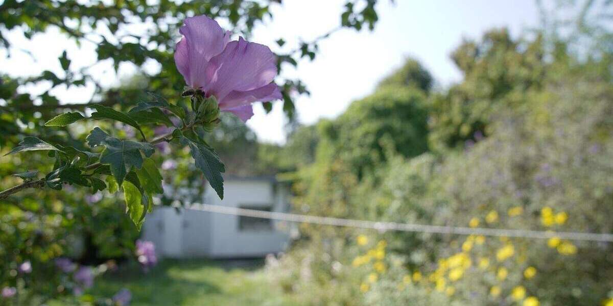 Einfamilienhaus Düsseldorf Urdenbach - 4 Zimmer, 145 m&sup2;, 325.000&euro; | Angebot:26175957