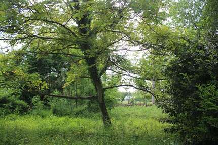 Grundstück Leichlingen Rothenberg - 499.000&euro; | Angebot:7315349