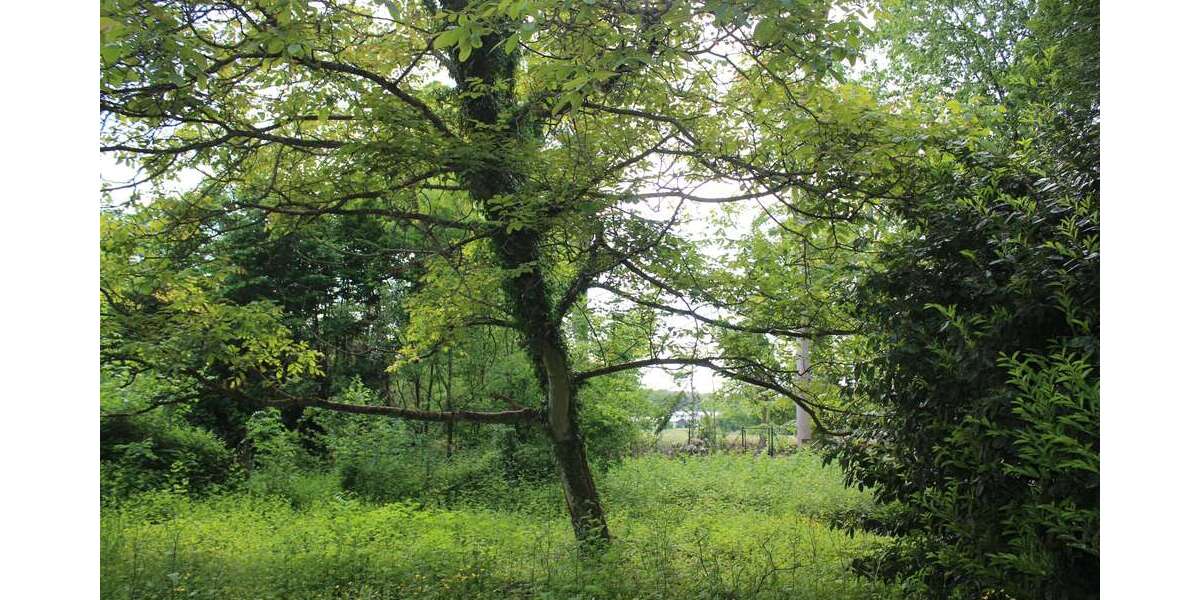 Grundstück Leichlingen Rothenberg - 499.000&euro; | Angebot:7315349