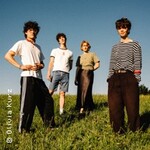 Fräulein Luise - Vielleicht nicht für immer Tour 2026