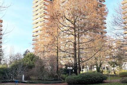 Wohnung Köln Bayenthal - 1 Zimmer, 53 m&sup2;, 960&euro; | Angebot:27111491