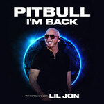 Comfort Experience - Pitbull