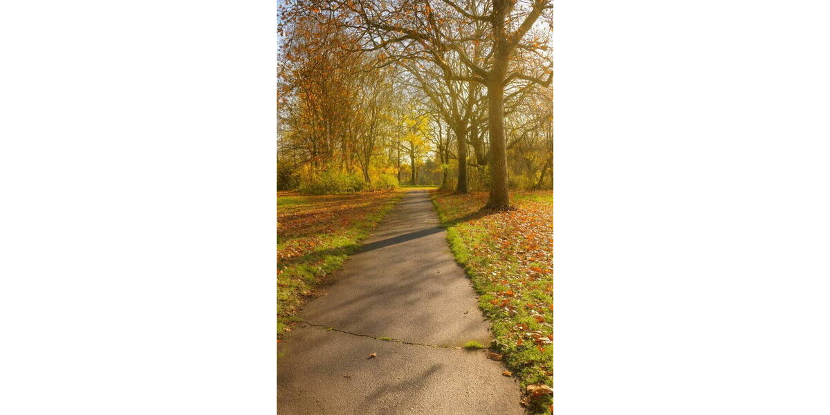 Bungalow Köln Seeberg - 7 Zimmer, 120 m&sup2;, 580.000&euro; | Angebot:26217978