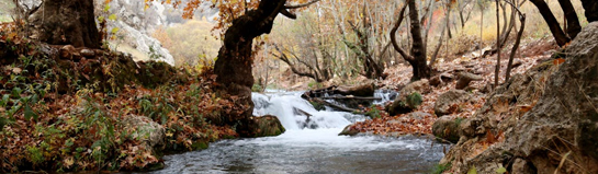 Hildorado Erlebnisbad Hilden Stadtwerke Wasser Familie