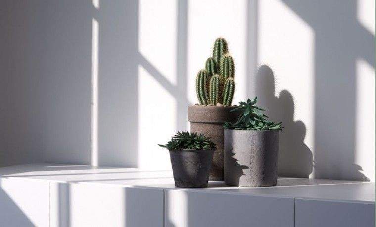 Gewerbeobjekt Düsseldorf Lierenfeld - 350&euro; | Angebot:25873022