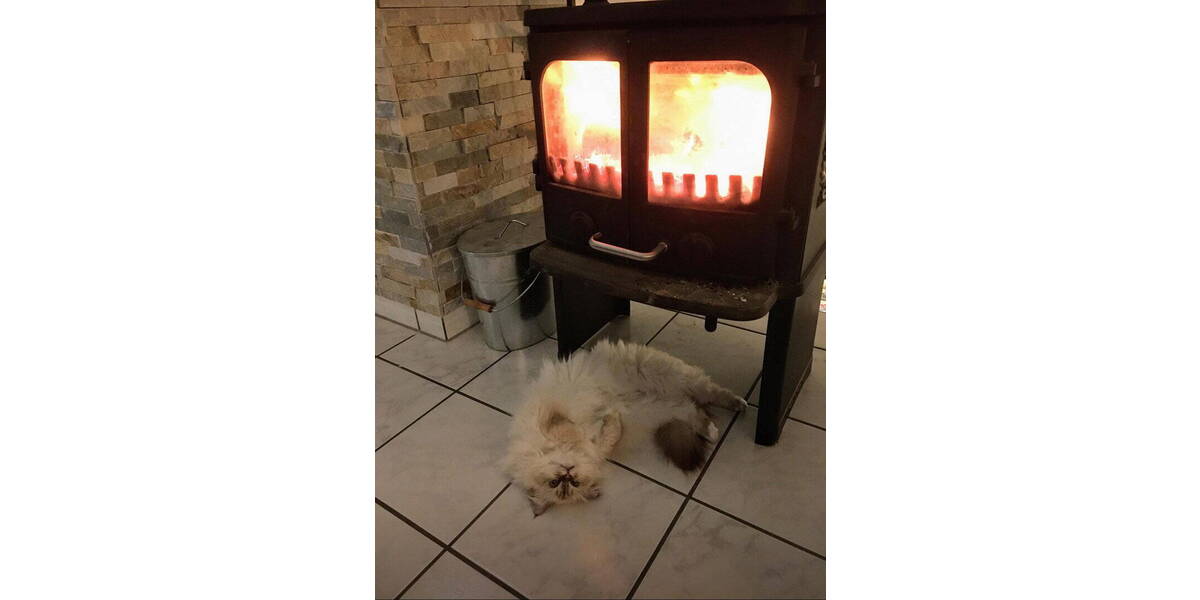 Doppelhaushälfte Willich Anrath - 4 Zimmer, 134 m&sup2;, 399.000&euro; | Angebot:26275139