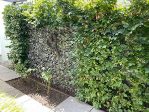 Korschenbroich Neersbroich, freistehend, Extraklasse! - Einfamilienhaus Korschenbroich | Angebot:26116417