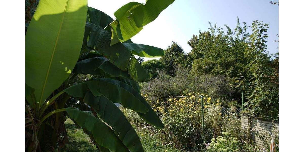 Einfamilienhaus Düsseldorf Urdenbach - 4 Zimmer, 145 m&sup2;, 325.000&euro; | Angebot:26175957