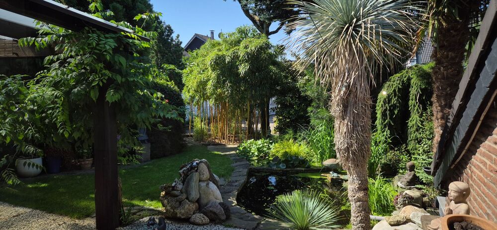 Großzügiges Einfamilienhaus mit Einliegerwohnung und traumhaftem Garten - Einfamilienhaus Leverkusen Bergisch Neukirchen | Angebot:27204833