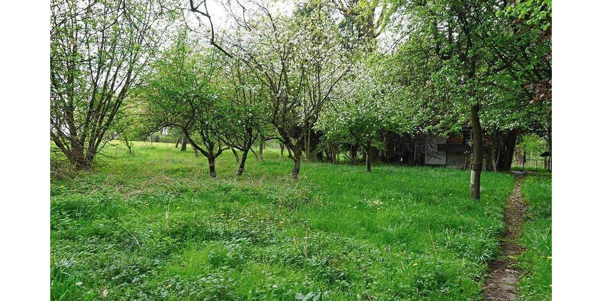 Mehrfamilienhaus, Wohnhaus Bergisch Gladbach Asselborn - 5 Zimmer, 170 m&sup2;, 550.000&euro; | Angebot:26196790