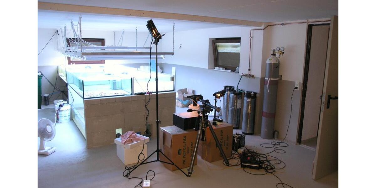 Gewerbeobjekt Düsseldorf Stadtbezirk 8 - 400&euro; | Angebot:25921537