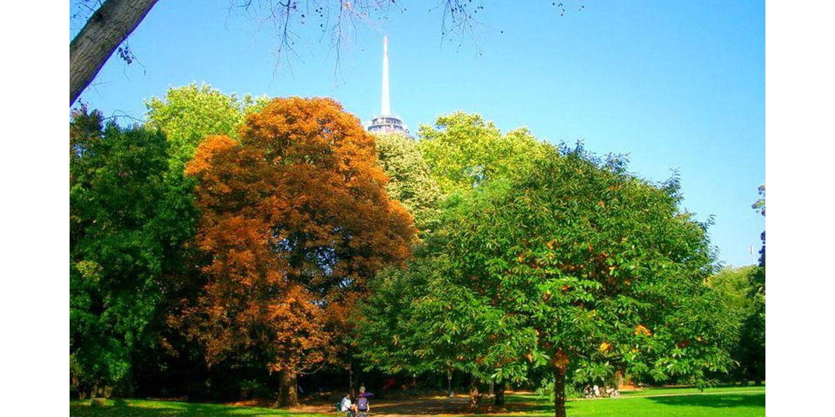 Terrassenwohnung Köln Neustadt-Nord - 3 Zimmer, 70 m&sup2;, 511.000&euro; | Angebot:26173800