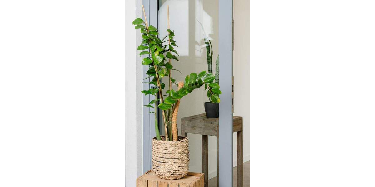 Gewerbeobjekt Köln Ehrenfeld - 362&euro; | Angebot:25800971